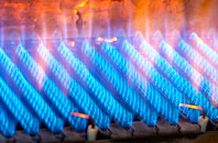 Dawdon gas fired boilers